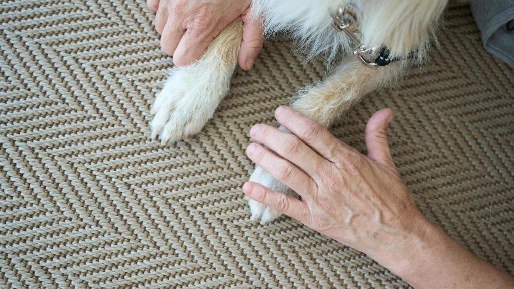 Foto de la iniciativa Mayores amigos.