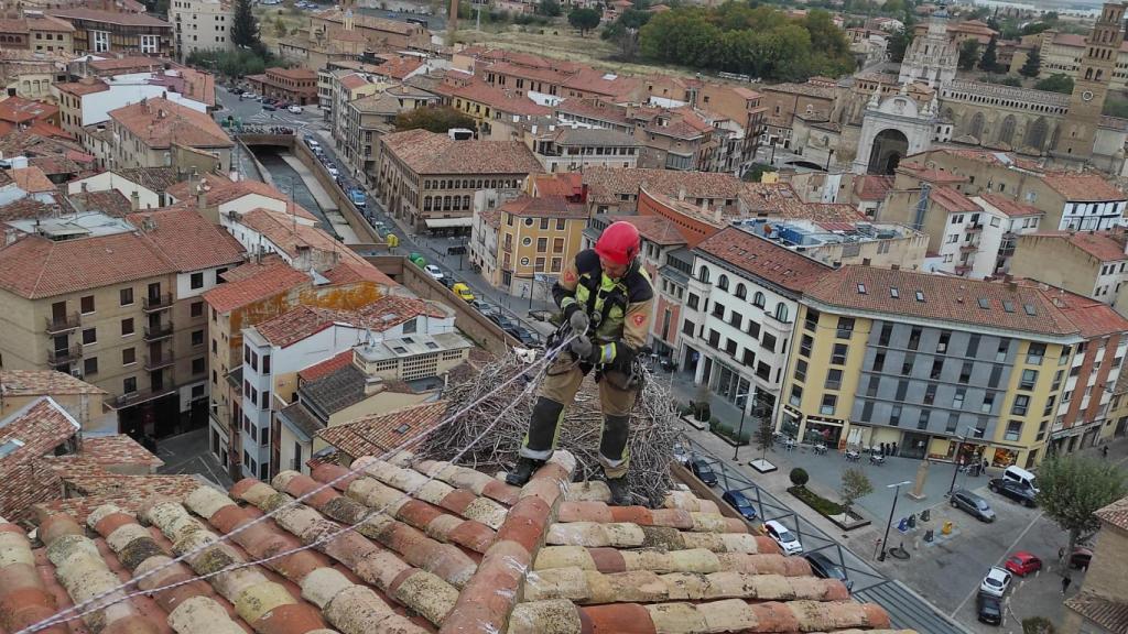 Retirada de nidos de cigüeña en el palacio arzobispal de Tarazona.