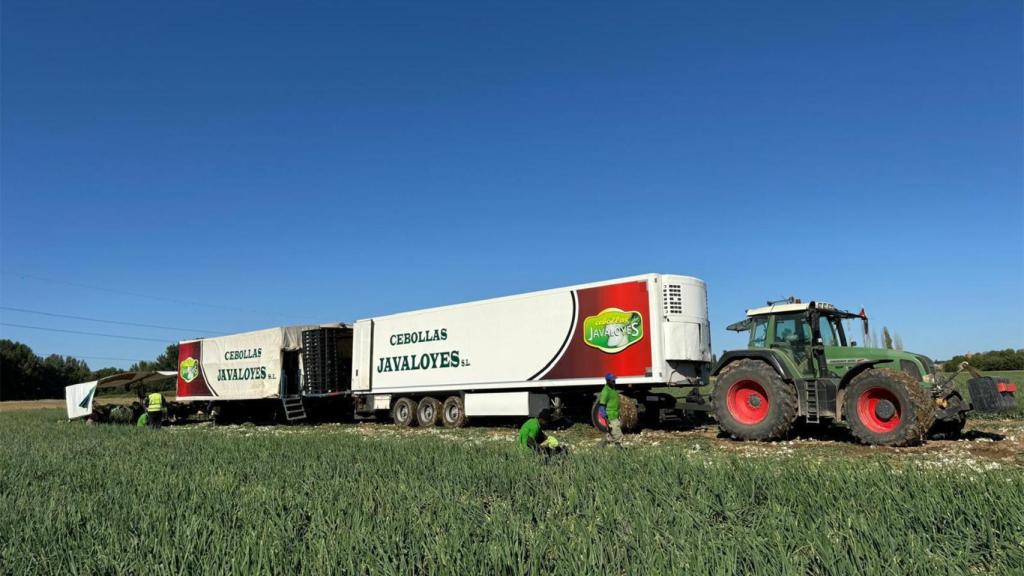 Uno de los camiones cargados de cebollas de Javaloyes en Cox.