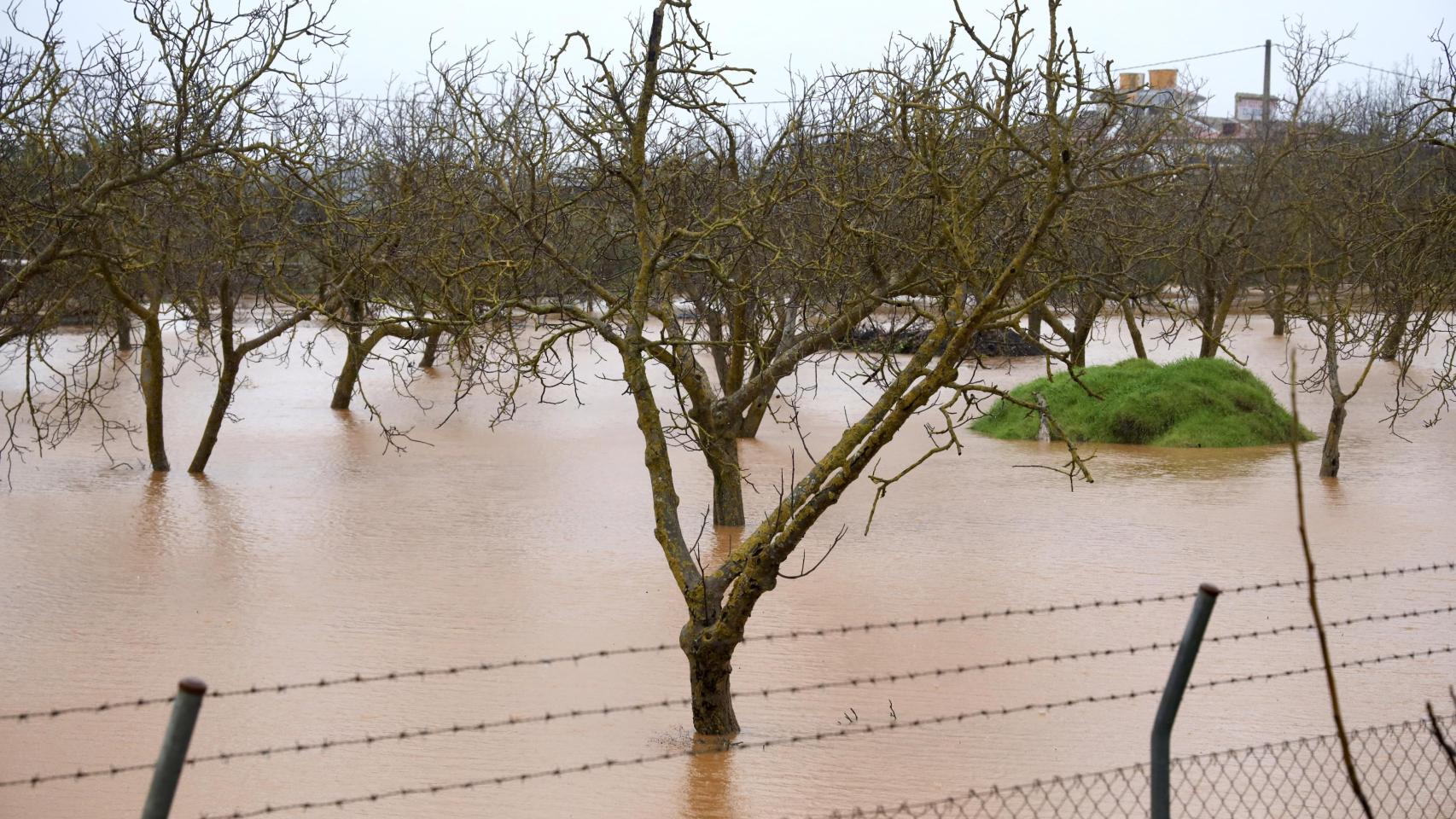 Imagen del impacto de las borrascas.