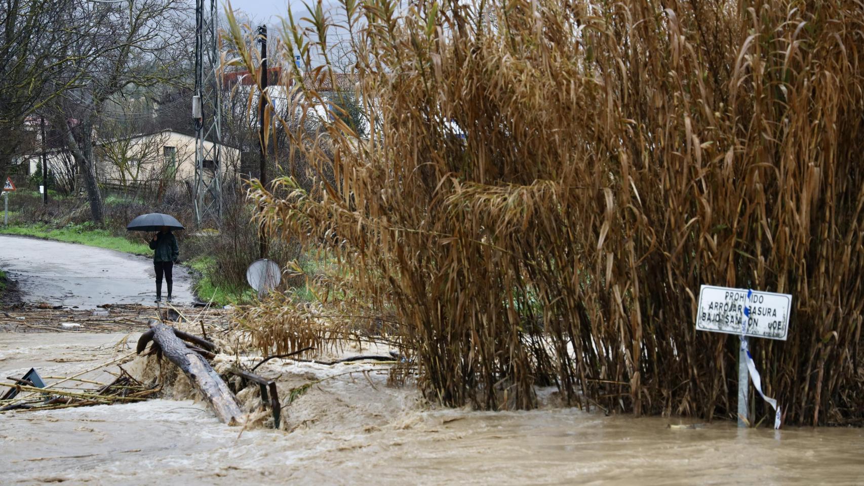 El paso de la borrasca Leonardo por Ronda, en fotos