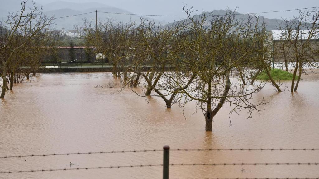 El paso de la borrasca Leonardo por Ronda, en fotos