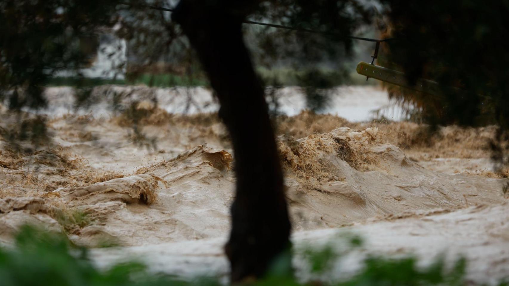 El paso de la borrasca Leonardo por Ronda, en fotos