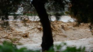 El paso de la borrasca Leonardo por Ronda, en fotos