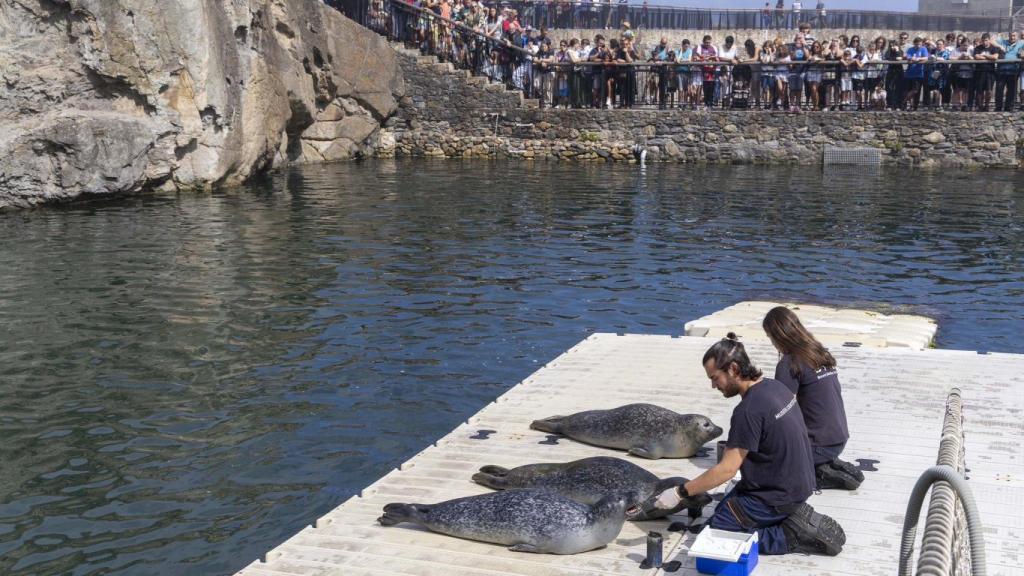 Imagen de una de las actividades.