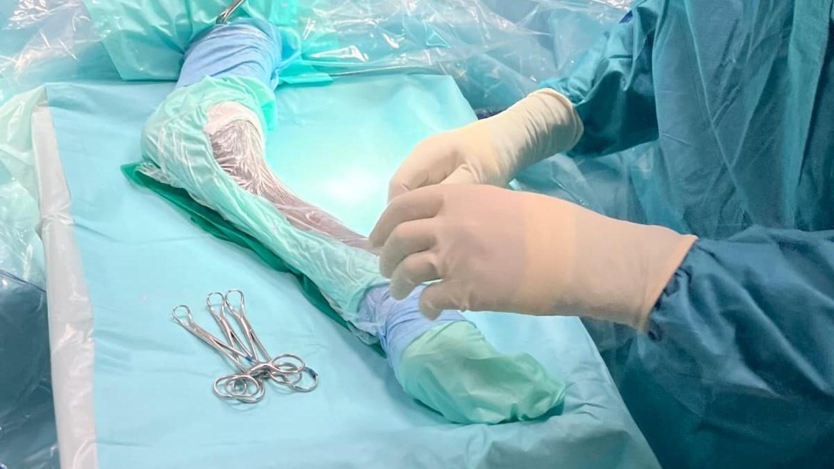 La operación del burro Pablete en la Universidad de León