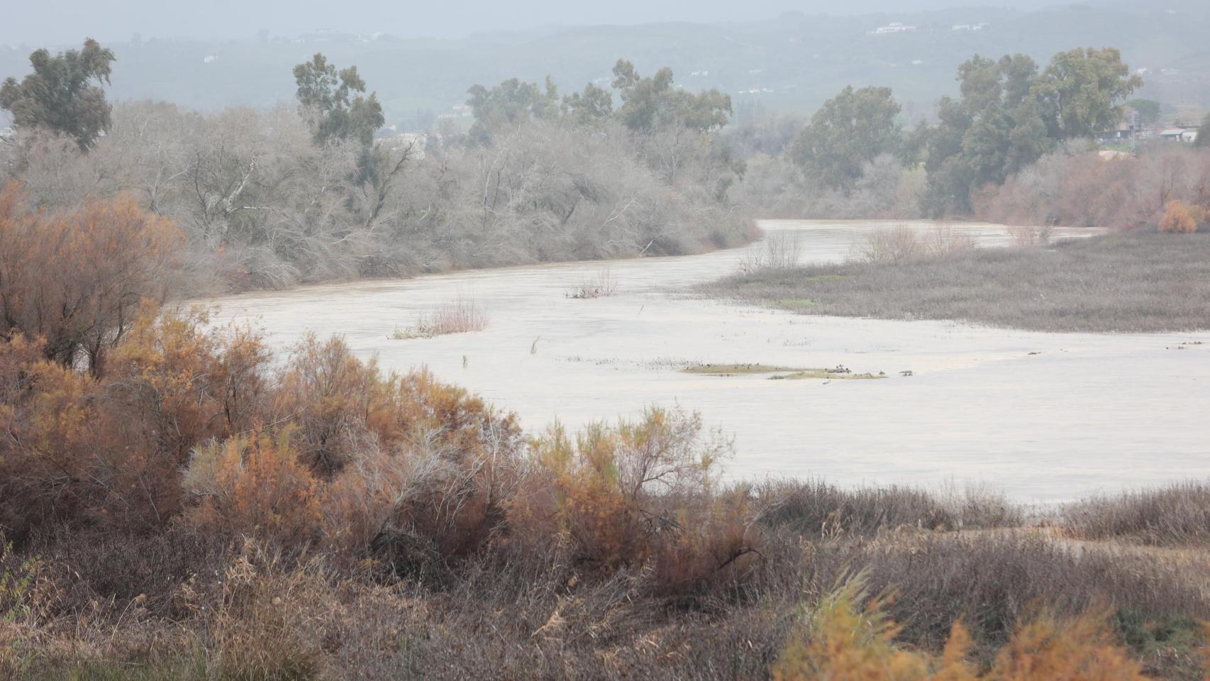 Imagen del río Guadalquivir a la altura de Lora del Río.