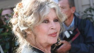 Brigitte Bardot podría haber vivido un año más si no hubiera sufrido aislamiento emocional: sus últimos días