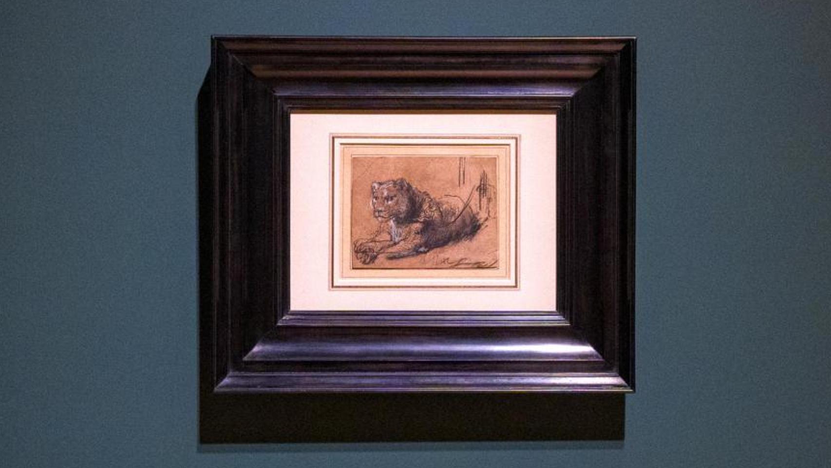 'Young Lion Resting' (Joven león descansando) del pintor holandés Rembrandt van Rijn exhibida en la casa de subastas Sotheby's en Nueva York. Foto: EFE/Ángel Colmenares ARCHIVO