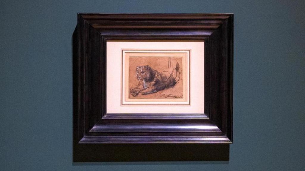 'Young Lion Resting' (Joven león descansando) del pintor holandés Rembrandt van Rijn exhibida en la casa de subastas Sotheby's en Nueva York. Foto: EFE/Ángel Colmenares ARCHIVO