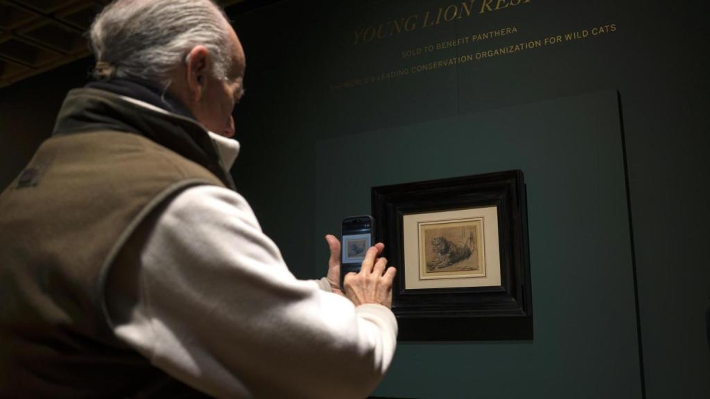 Una persona toma una fotografía a la obra 'Joven león descansando' del pintor holandés Rembrandt van Rijn en la casa de subastas Sotheby's en Nueva York. Foto: EFE/ Ángel Colmenares