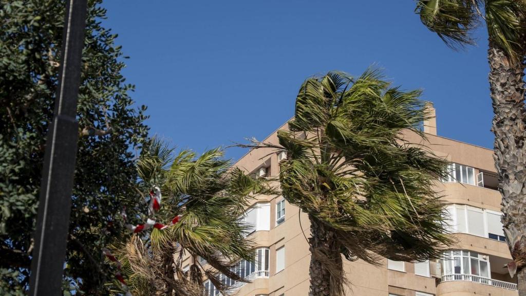 Imagen de archivo de fuertes vientos. Marian León / Europa Press