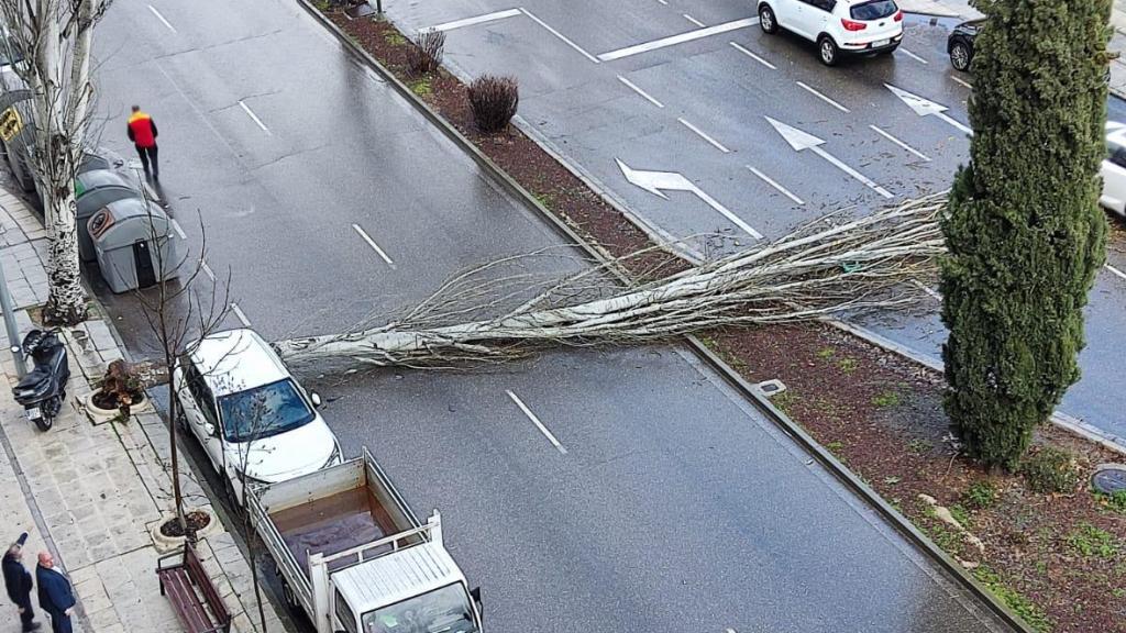 La calle Guadarrama se encuentra en el epicentro del barrio del Polígono.
