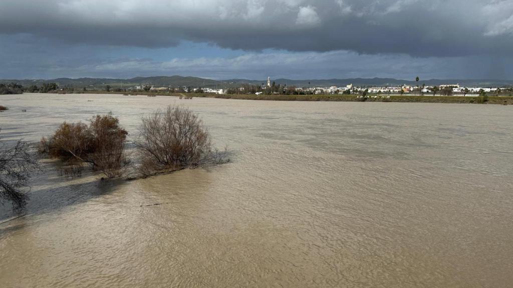 Imagen del río Guadalquivir a su paso por Lora del Río.