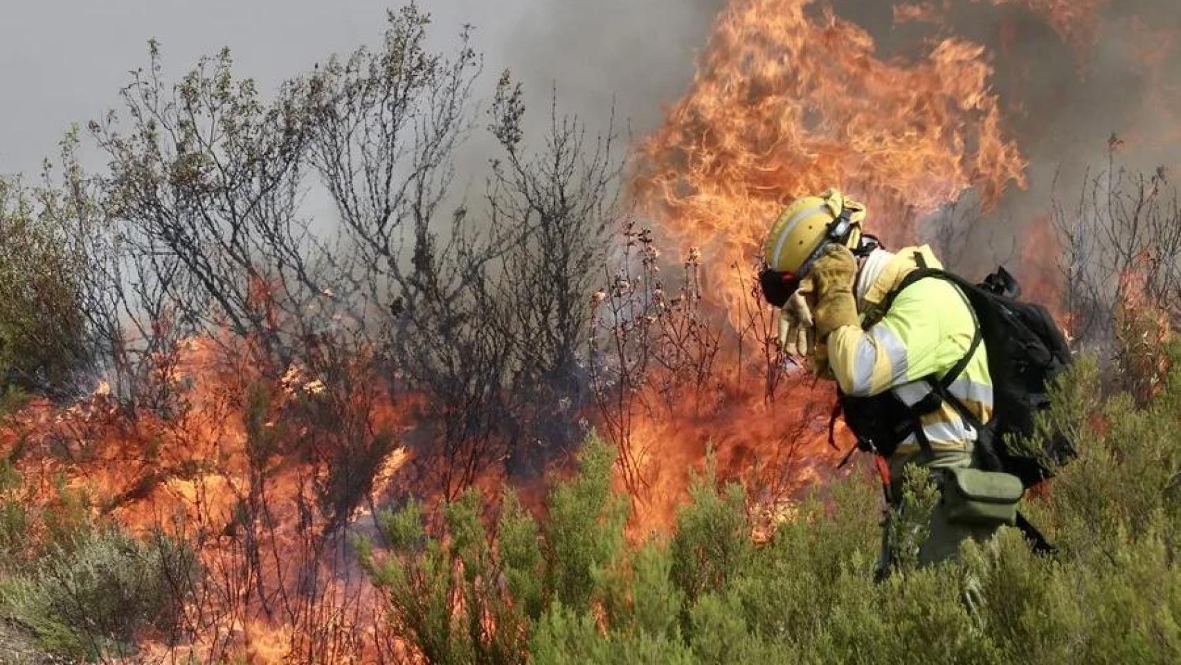 Un brigadista, ante una lengua de fuego parte del incendio en la Sierra de la Culebra del verano pasado.