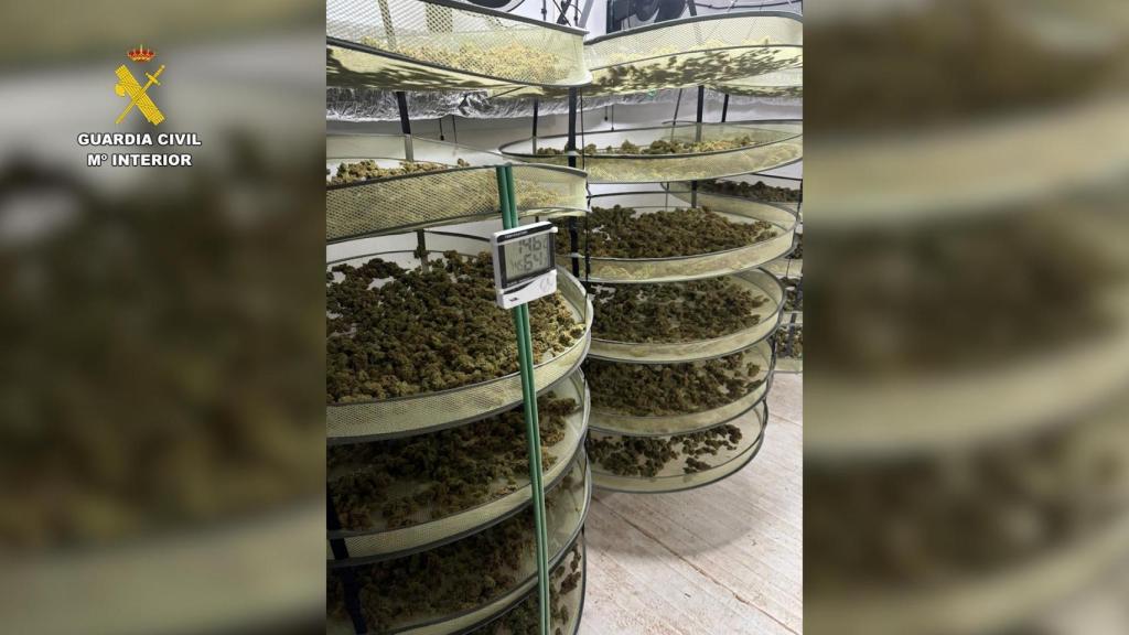 Marihuana incautada ya preparada para su venta.