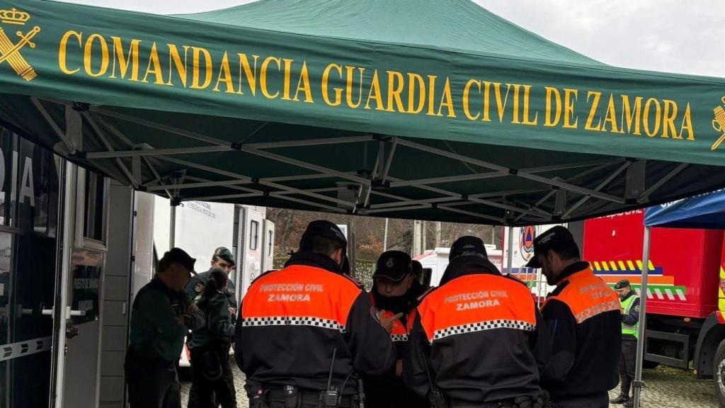 Componentes durante una acción en común