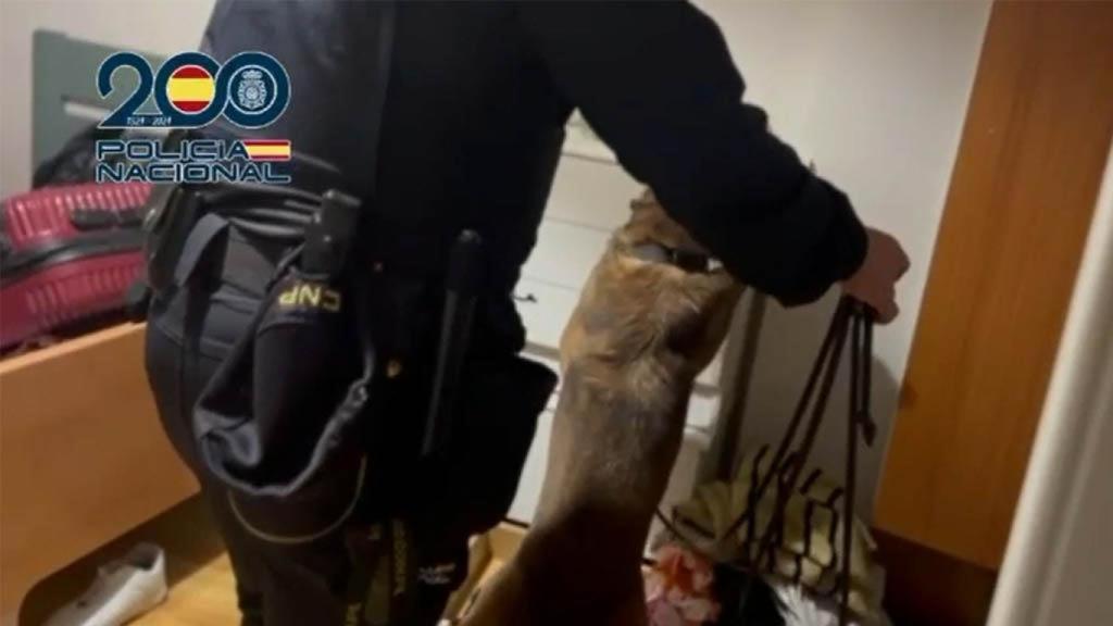 Imagen de la operación.