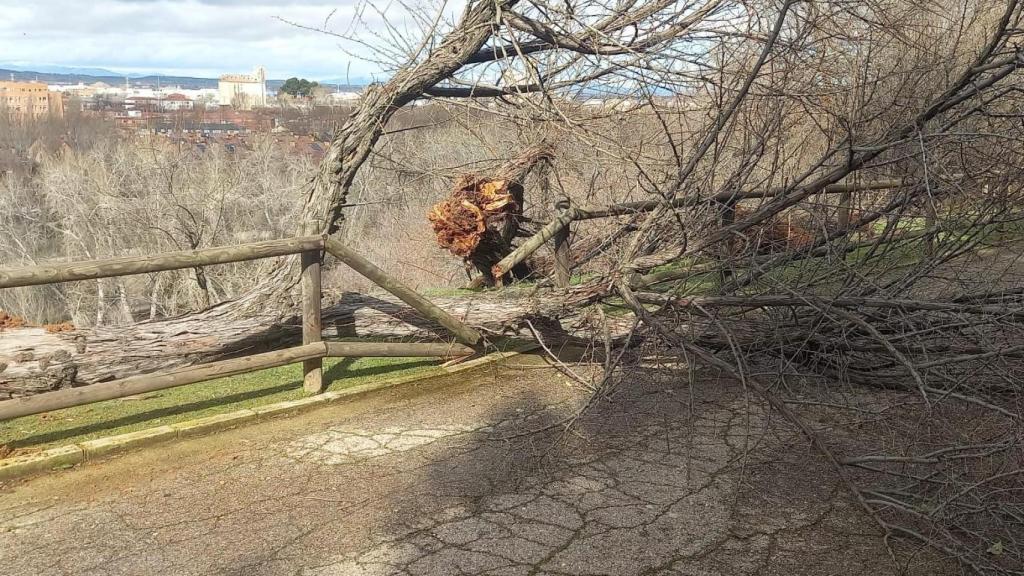Incidencia en Guadalajara.