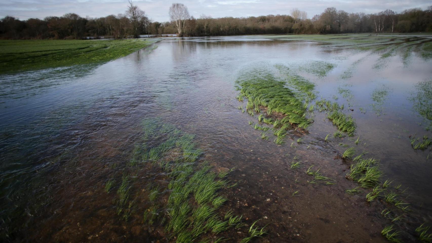 Imagen de archivo de un desbordamiento del río Miño.