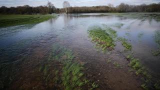 Imagen de archivo de un desbordamiento del río Miño.