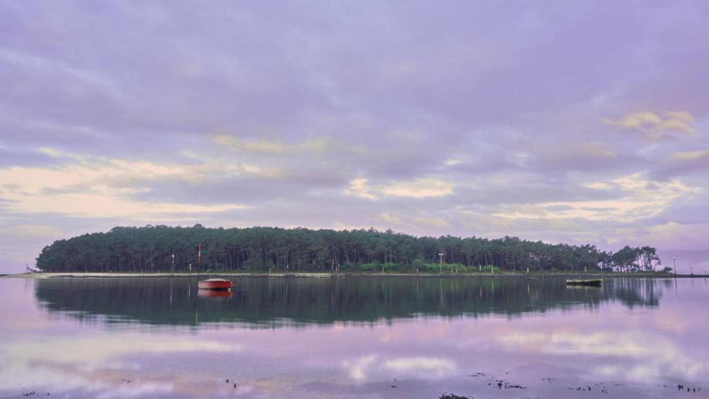 La isla de Cortegada al amanecer