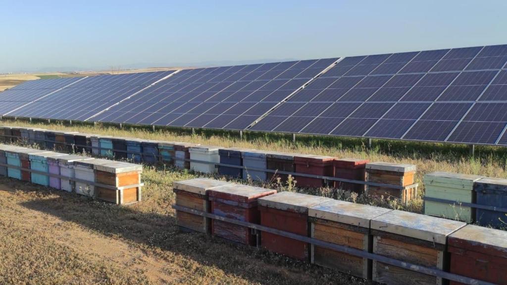 WhatsApp Image 2026-02-06 at 11.31.14 (1)