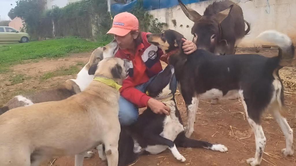 Ali Izddin con sus perros.