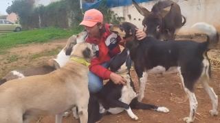 Ali Izddin con sus perros.