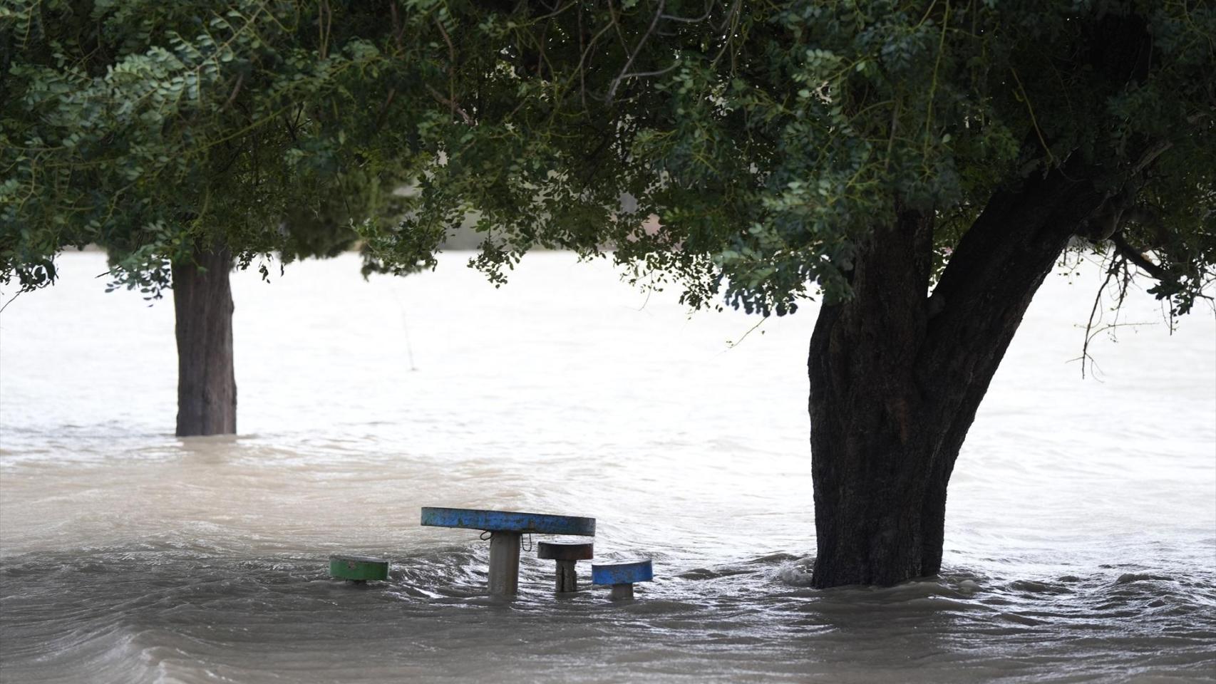 Zonas inundadas en El Palmar de Troya.
