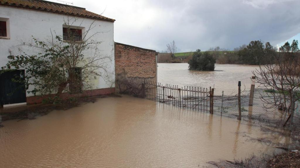 Imagen de la crecida del río Guadalquivir a su paso por Lora del Río.