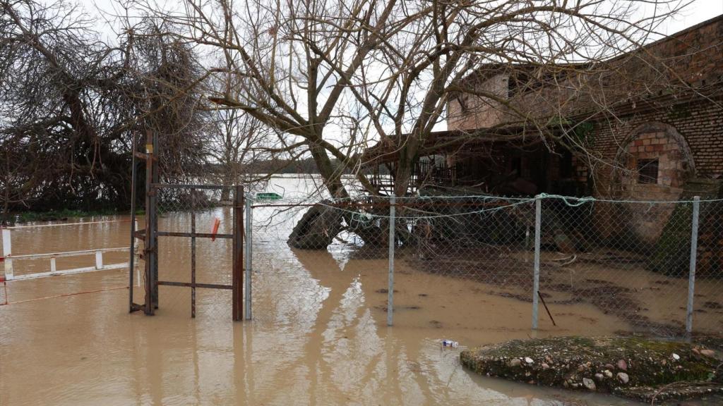 Imagen de la crecida del río Guadalquivir a su paso por Lora del Río.
