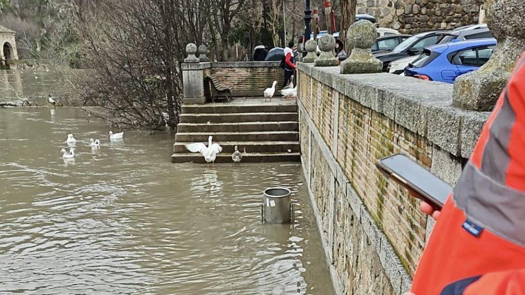 Estado de la zona del Barco del Pasaje, en la Cornisa.