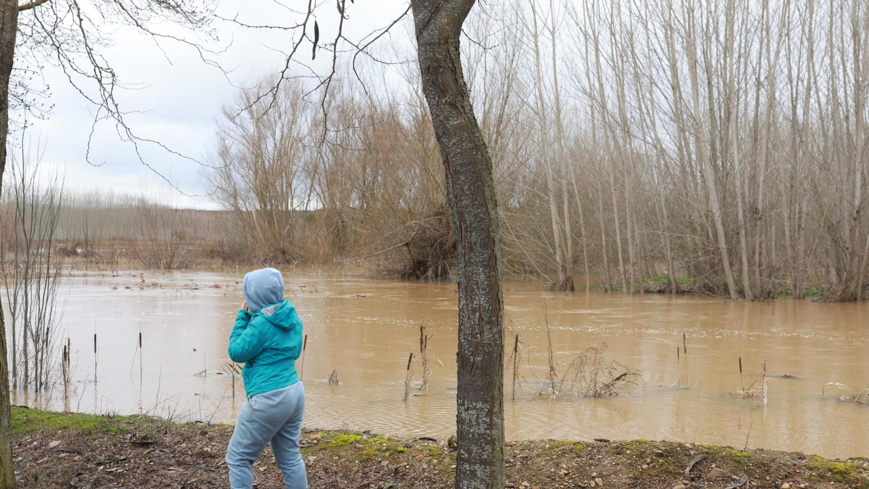 Crecida del Río Orbigo a su paso por Villabrazaro