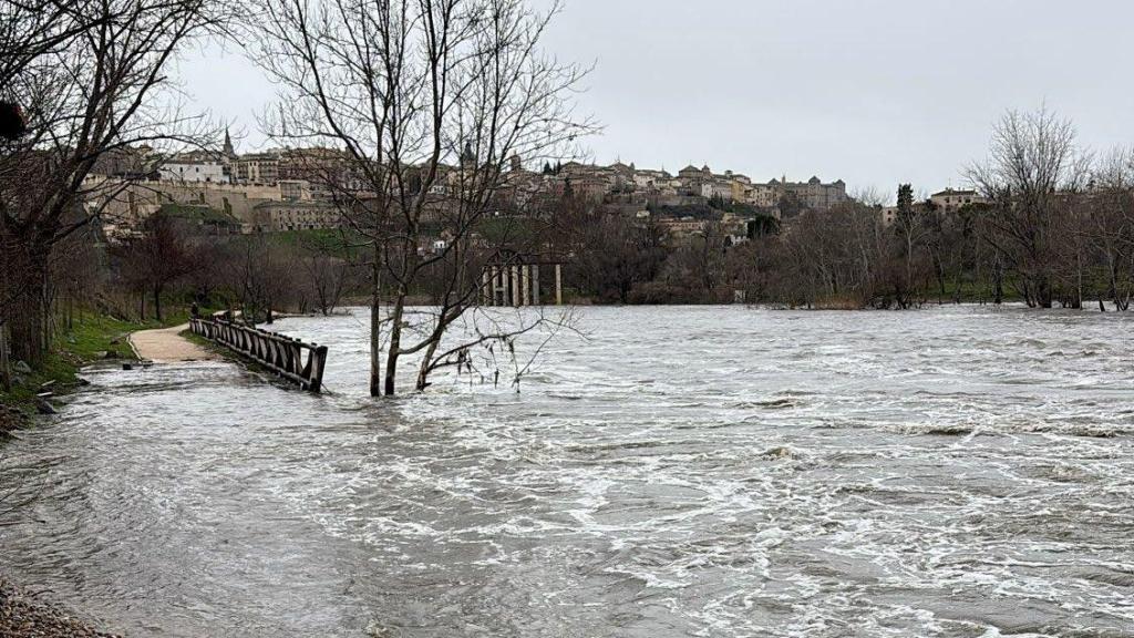 Imagen difundida por el Ayuntamiento.