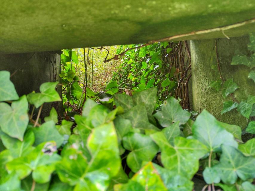 Interior de las ruinas de la Torre de Peito Bordel. Iván Fernández Amil