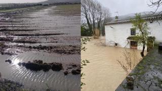 Imágenes de una finca anegada de Noelia en Jerez y la casa rural de Inma en Benaoján.