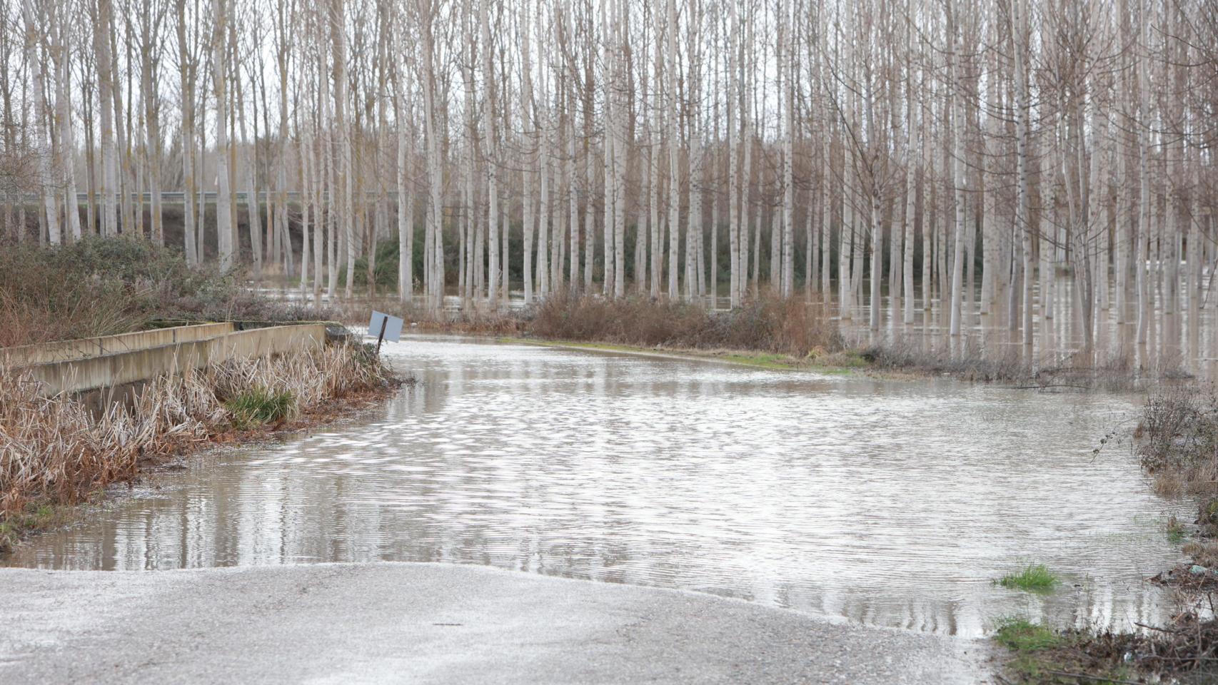 La crecida del río Orbigo obligó a cortar la carretera de Manganeses de la Polvorosa el pasado 6 de febrero