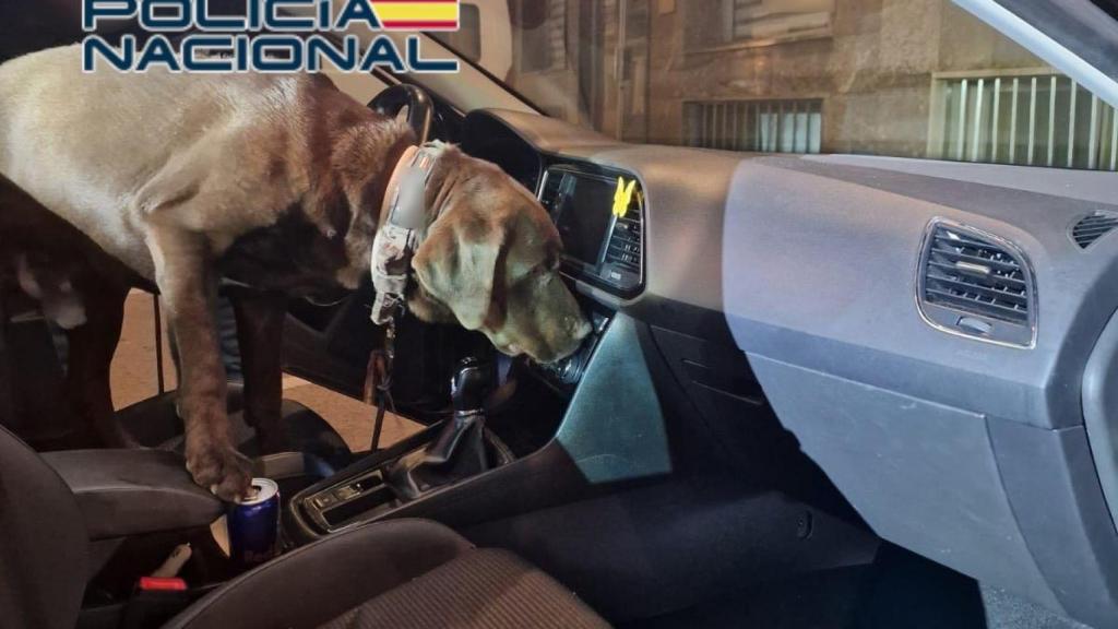 La sustancia intervenida fue localizada oculta en un compartimento del vehículo.