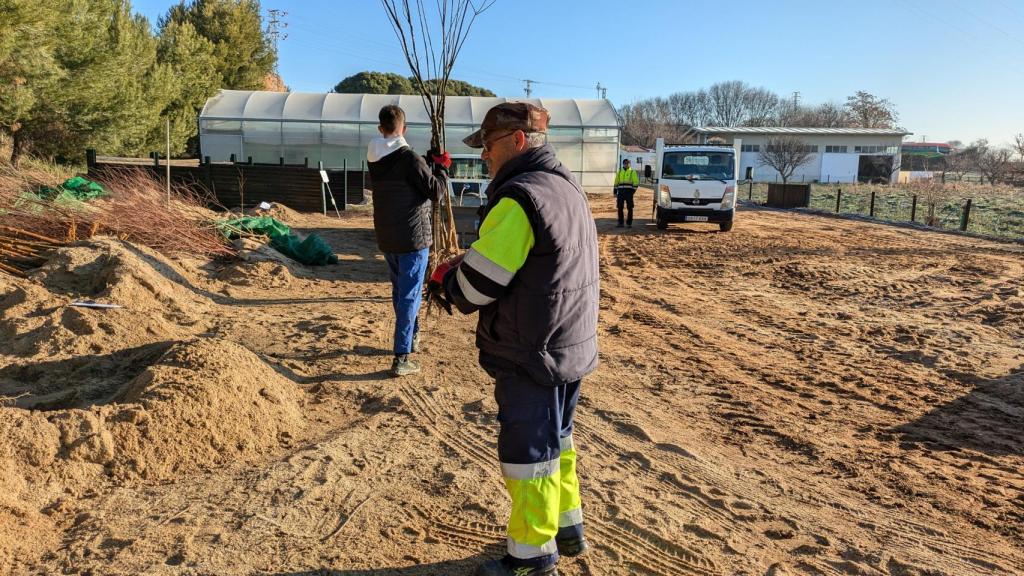 Diputación reparte más de 25.000 árboles y arbustos a los municipios toledanos.
