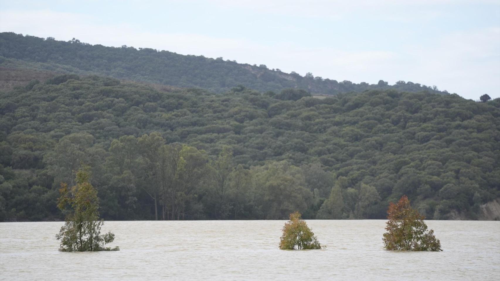 Imagen del pantano de Bornos, que superó su capacidad de embalsamiento la semana del 6 de febrero.