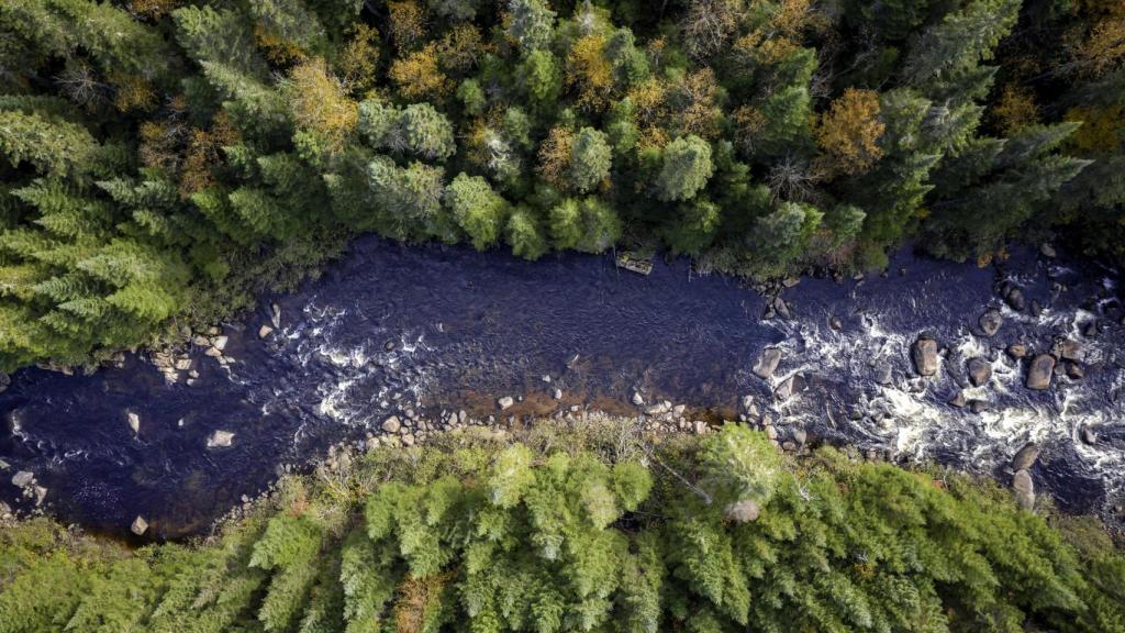 Vista aérea de la naturaleza Bosque Boreal en otoño, Quebec, Canadá.