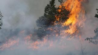 Incendios forestal.