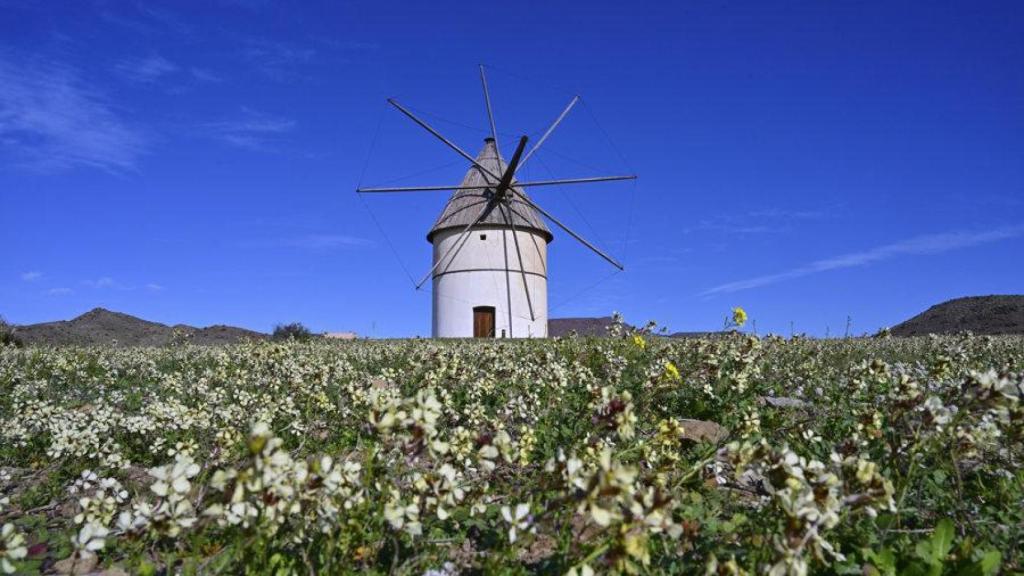 El Pozo de Los Frailes en el Parque Natural de Cabo de Gata-Níjar muestra, tras las últimas lluvias, un paisaje anormalmente lleno de vegetación