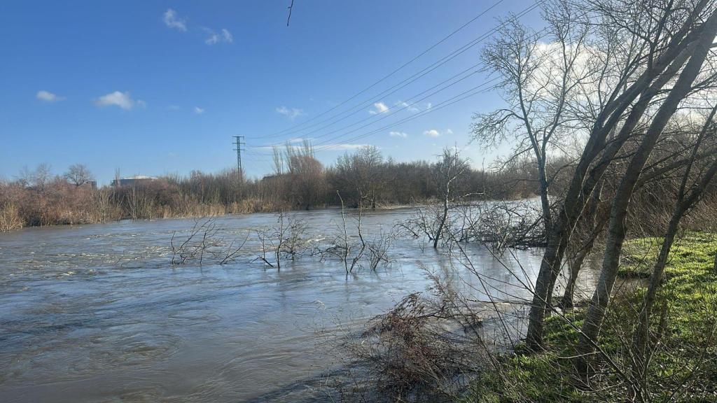 Imagen del río Jarama a su paso por Arganda del Rey (Madrid).