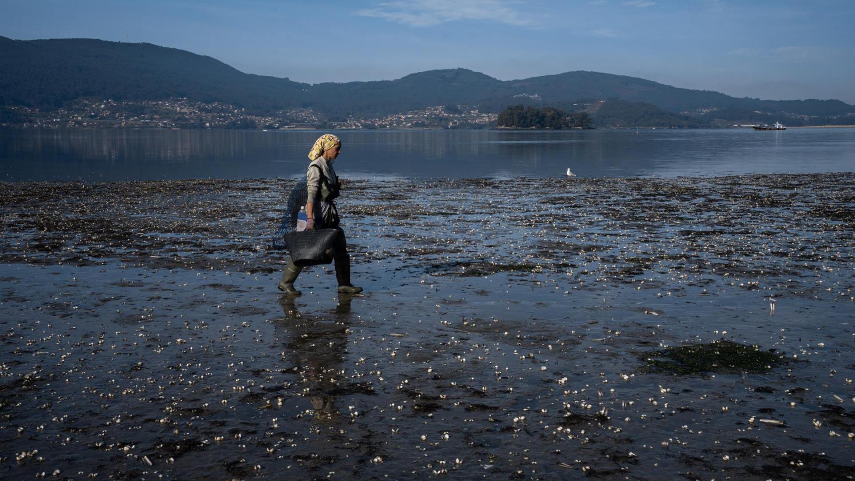 Una mujer camina por la ensenada de San Simón, Rías Baixas, a 17 de noviembre de 2023