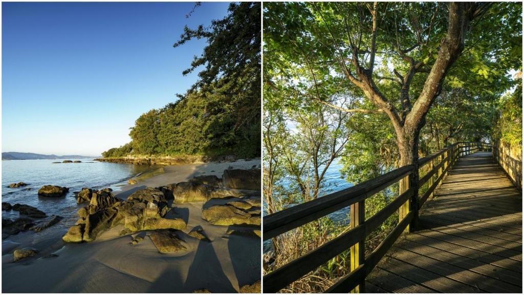 Senda de O Laño, en Poio (Pontevedra)