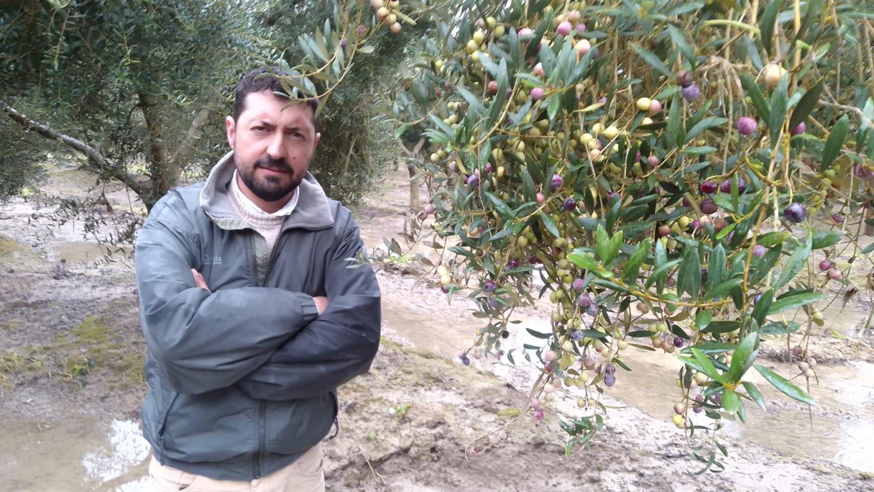 Alfonso Menacho, en el olivar familiar, completamente inundado, situado en Arcos de la Frontera.