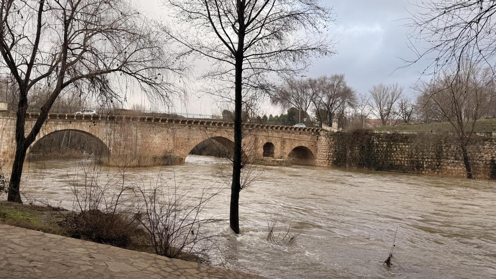 Río Henares a su paso por Guadalajara. Foto: Ayuntamiento.