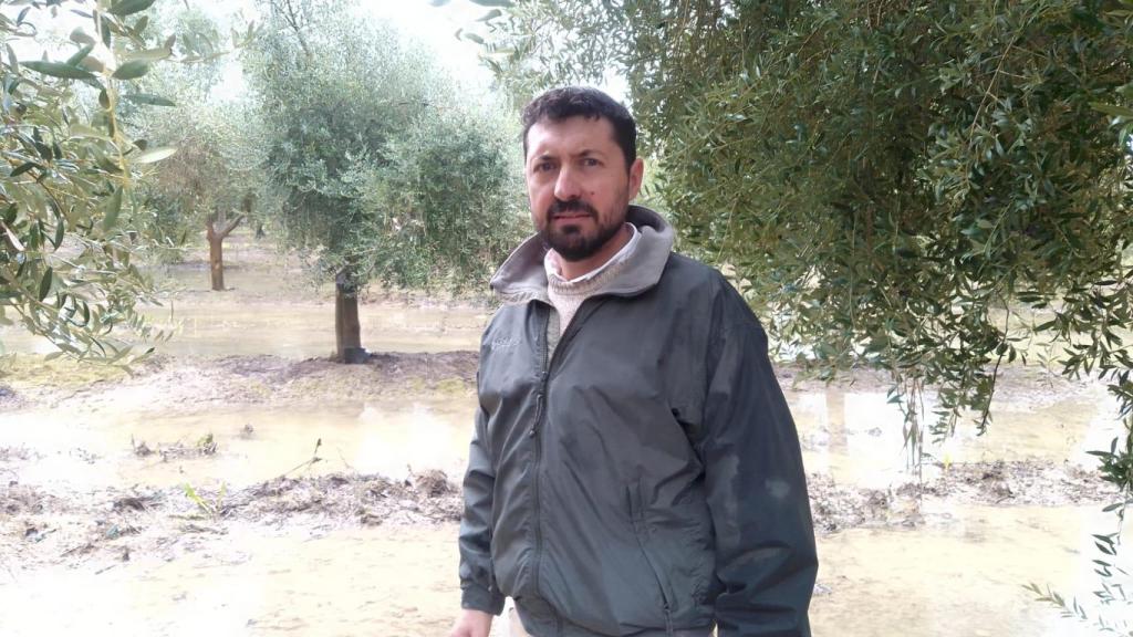 Alfonso Menacho, en su olivar, completamente inundado y con la tierra incapaz de drenar agua.